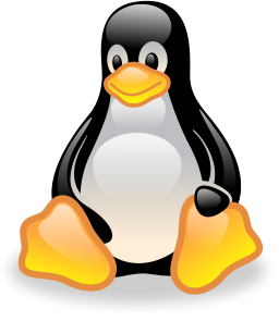 Ferchichi Seifeddine : Linux-User